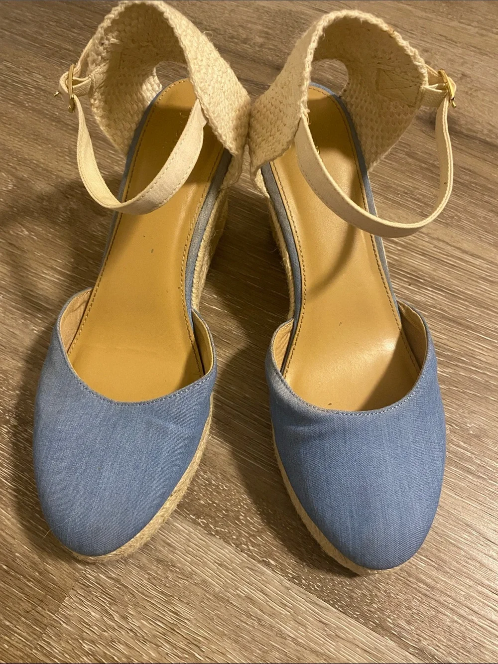 J. Crew Light Blue Espadrille Wedge Sandals with Ankle Strap